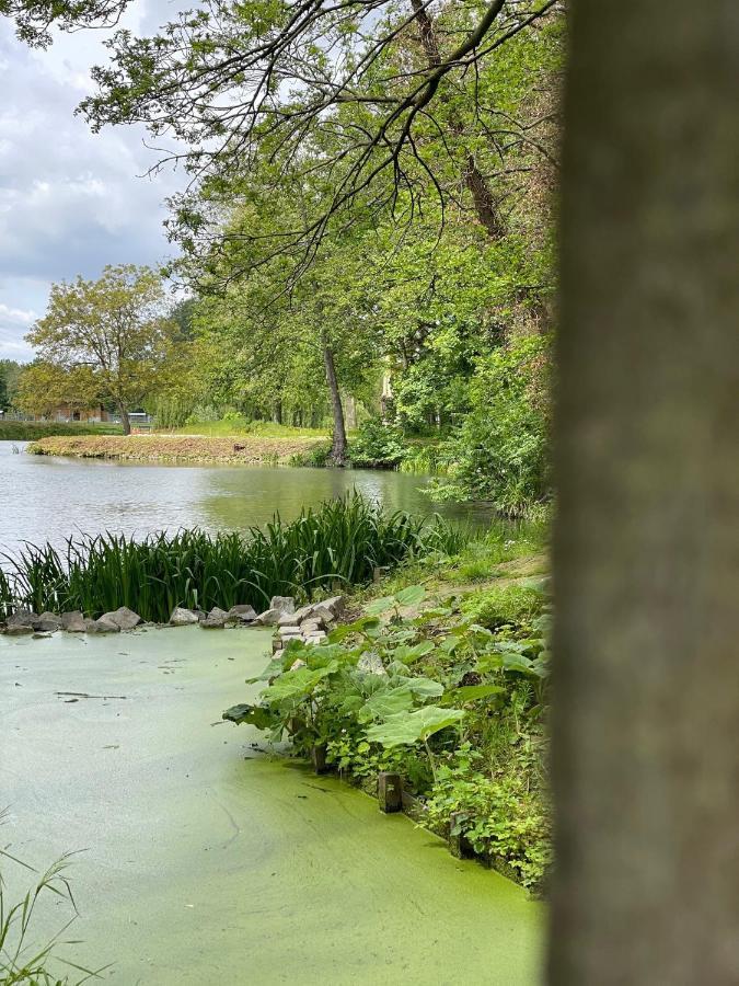 Vakantiehuis Cerise, Luxueus Genieten In De Leiestreek Deinze Exteriör bild